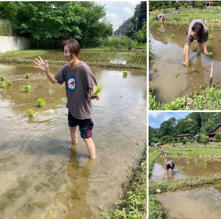 田植え