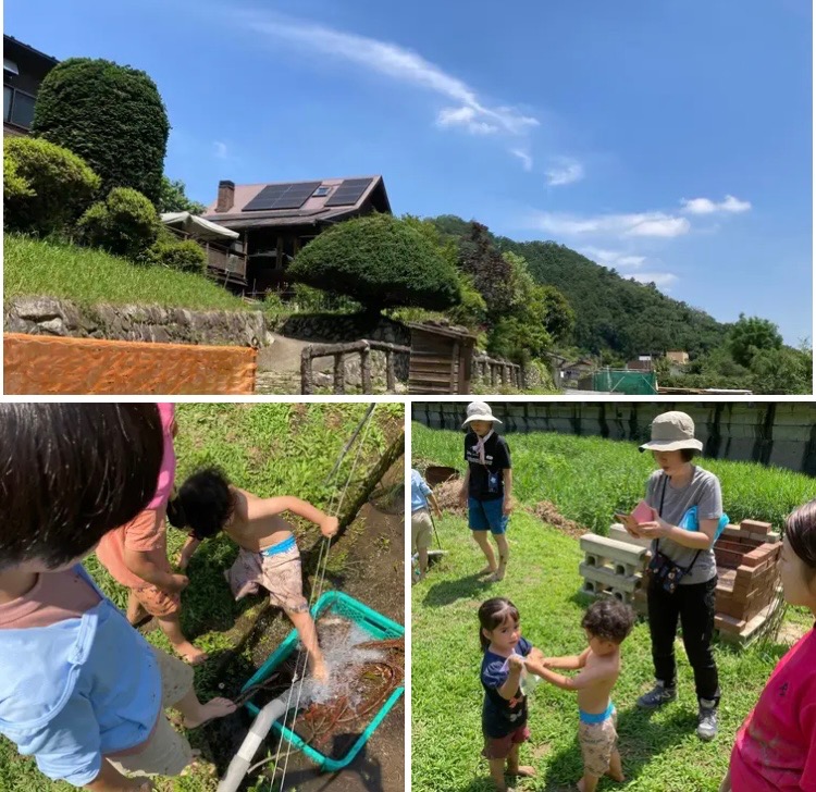 田植え