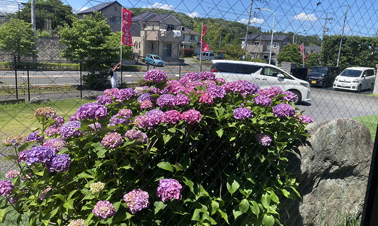 子ども食堂にお手伝いに伺いました